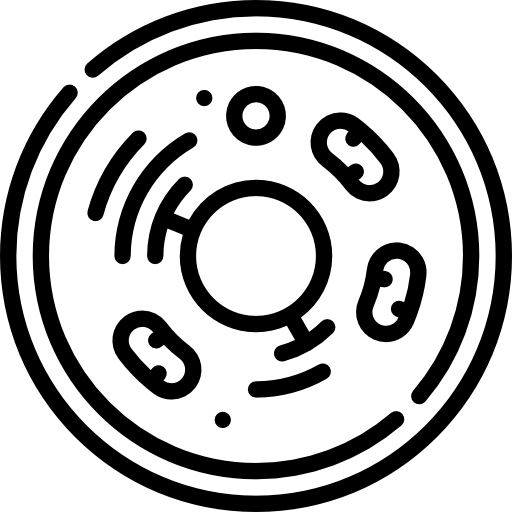 Рябус Марина Владимировна